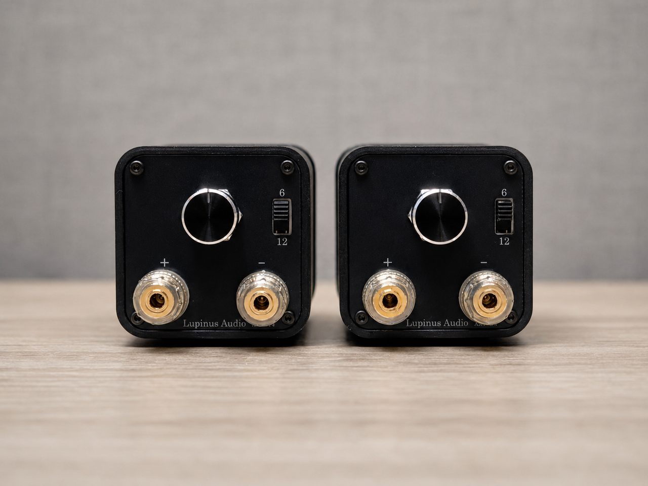 AMT-TP4 背面。接続端子と切替スイッチ